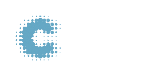 Computerize Ltd.